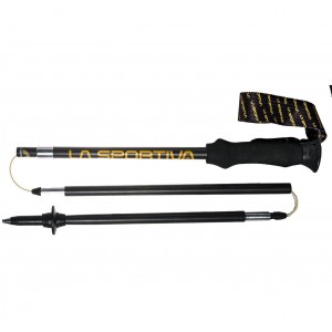 Trail Speed Carbon Poles