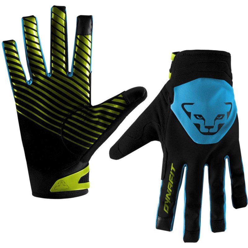 Radical 2 Softshell Gloves