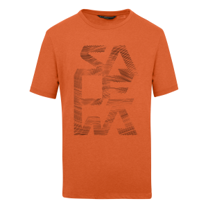Salewa Print Dry'Ton Herren T-Shirt